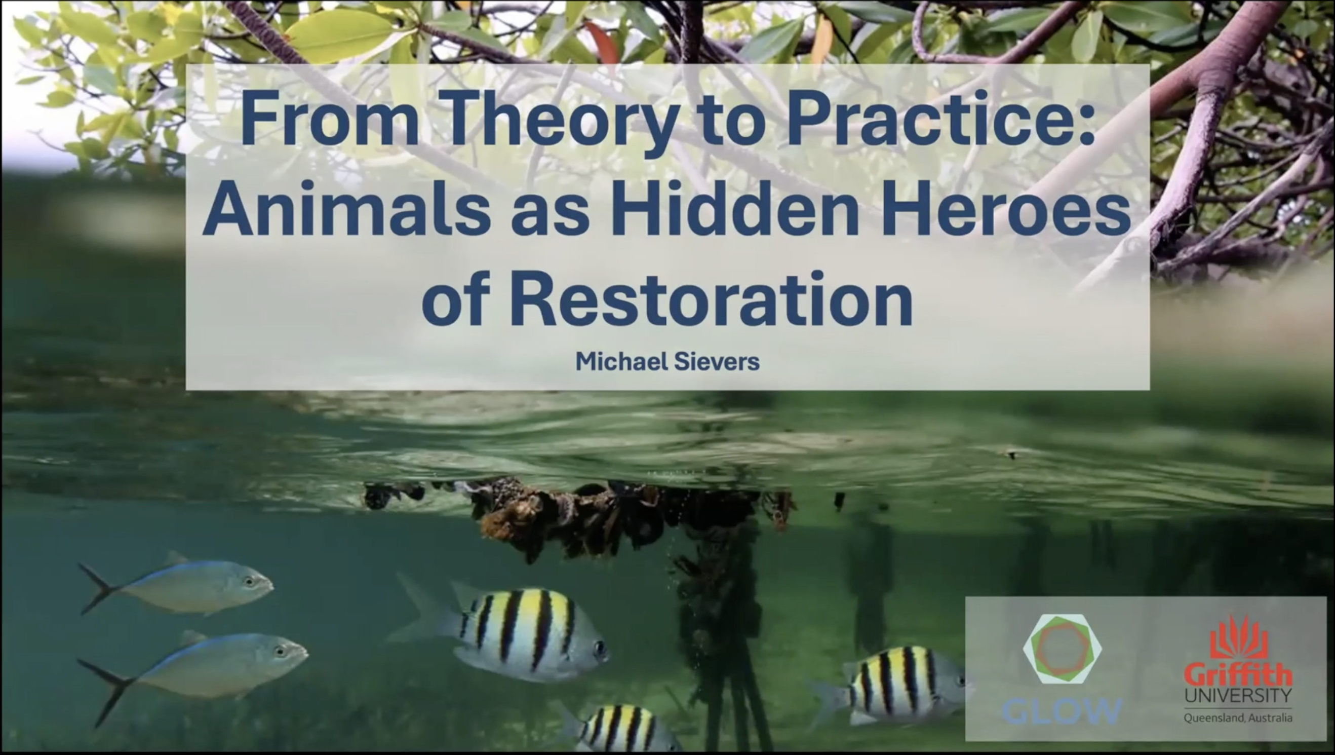 Animals as Allies in Mangrove Restoration